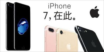 苹果7官方价格及售后信息