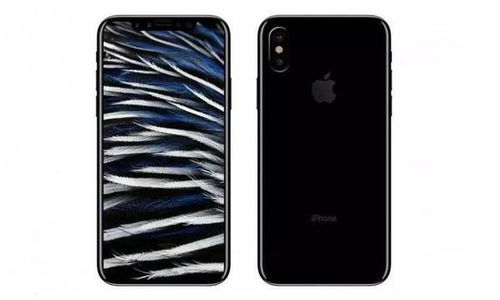 iPhone 13图片文字提取指南