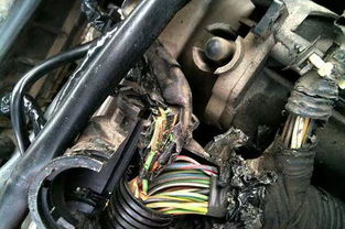 汽车搭电线多少安培(汽车搭电线的安培数，理解其重要性及如何选择合适的搭电线)