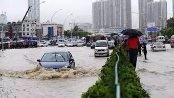 南昌暴雨淹了多少汽车(南昌暴雨淹了多少汽车，城市内涝与车辆损失的深度剖析)