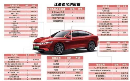 比亚迪汽车电池多少串号(比亚迪汽车电池多少串号，深度解析与探讨)