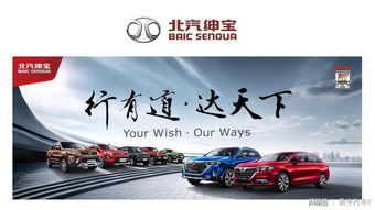 北京汽车牌有多少(北京汽车牌数量概览)