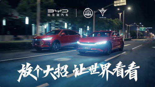 比亚迪汽车全球多少工厂(比亚迪汽车全球工厂布局概览)