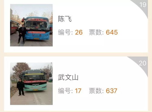 涪陵红星汽车估价多少(涪陵红星汽车估价分析)