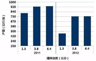 汽车水位到多少cm(汽车水位监测的重要性及其适宜水位深度解析)