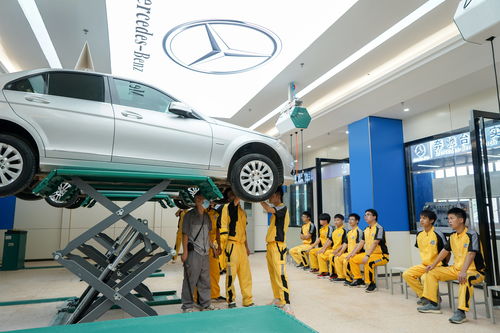 中国可以有多少汽车(中国可以有多少汽车，探究未来汽车市场潜力)