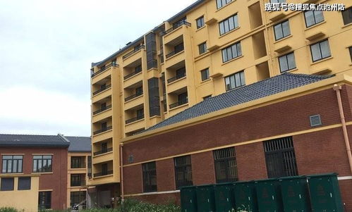 汽车安检电话多少(关于汽车安检电话的相关信息解析)