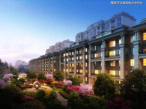遂宁汽车燃气价格多少(遂宁汽车燃气价格分析)