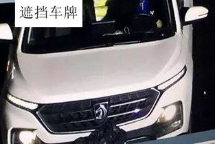 汽车司机被罚款多少(汽车司机被罚款多少，原因、金额与背后的故事)