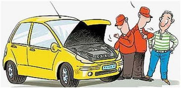 收藏汽车要买多少车库(收藏汽车与车库数量的决策，购买多少车库才足够？