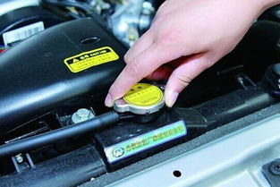 汽车真皮受热温度多少(汽车真皮受热温度分析)