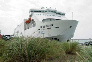 宝山汽车渡轮价格多少(宝山汽车渡轮价格详解)