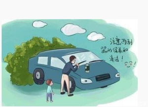 汽车雨刷功率多少(汽车雨刷功率详解，多少才是合适的？
