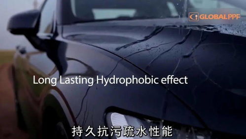 汽车电灯多少钱(汽车电灯价格解析，多少钱才是合理的选择？