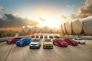 中国用多少辆汽车(中国拥有多少辆汽车，现状分析与未来展望)