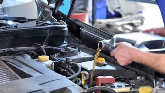 韩国汽车用多少机油(韩国汽车机油使用量的研究)