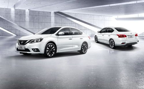 汽车销冠卖多少(汽车销冠卖多少，探究销售冠军背后的秘密)