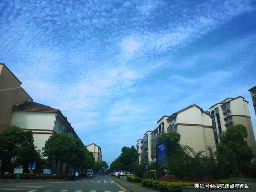 初夏汽车挂件价格多少(初夏汽车挂件价格解析)