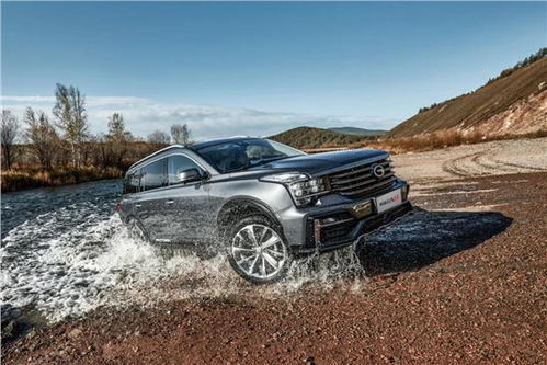 领跑汽车共融资多少(领跑汽车，共融资多少背后的故事与未来展望)