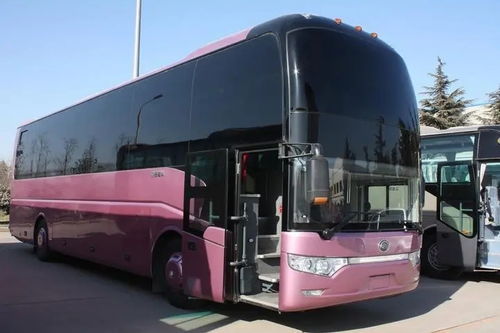 汽车卧铺套装价格多少(汽车卧铺套装价格解析，多重因素决定最终价格)
