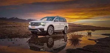 云豹汽车油箱多少升(云豹汽车油箱容量解析)