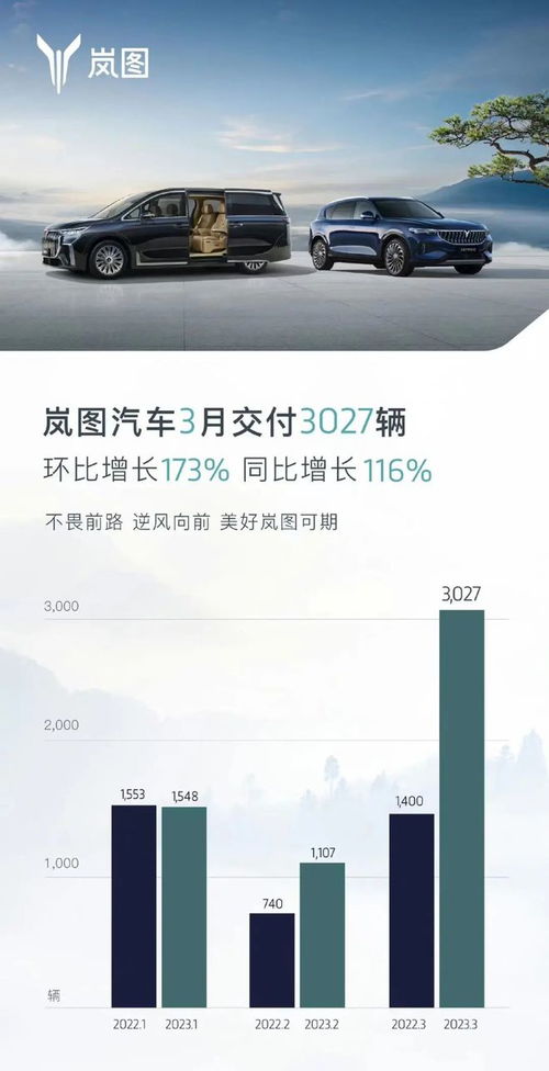 拉萨理想汽车补贴多少(拉萨理想汽车补贴政策详解，补贴金额与申请流程)