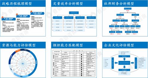 公司采购多少汽车合适(公司采购多少汽车合适，全面分析与策略建议)