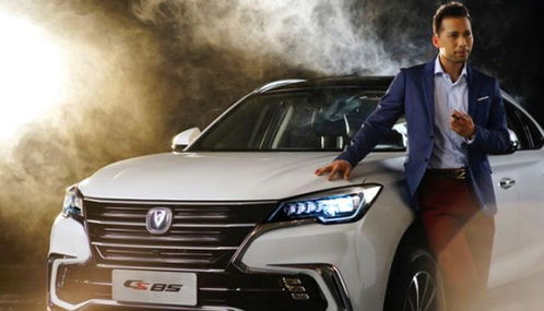 南阳长安汽车降价多少(南阳长安汽车降价情况深度解析)