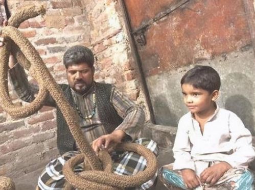 汽车水位多少才报警(汽车水位报警机制，理解与应对水位报警的重要性)