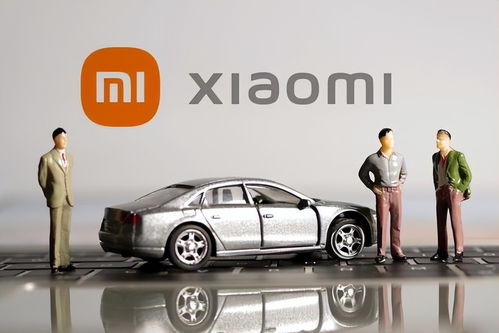 小米投资了多少汽车(小米投资了多少汽车，深度解析其汽车产业布局与投资战略)