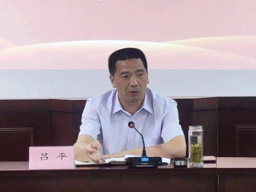 齐齐哈尔有多少台汽车(齐齐哈尔市的汽车数量统计)