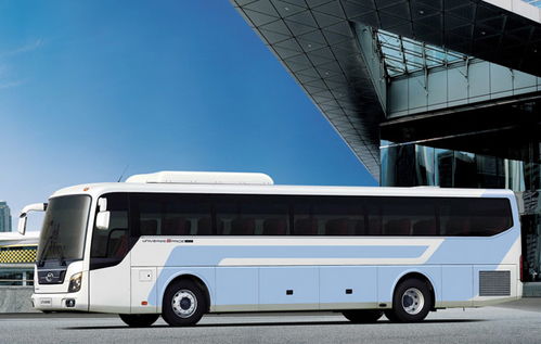 巴士汽车多少钱(巴士汽车价格解析，多少钱才是你心中的理想价位？