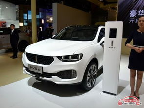 wey汽车分期首付多少(WEY汽车分期首付详解，让你轻松购车无忧)