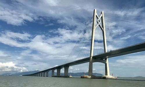 珠港澳大桥汽车多少(珠港澳大桥汽车数量概览)