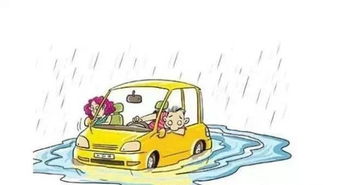 小汽车淹水多少公分(小汽车淹水多少公分，深度解析与应对策略)