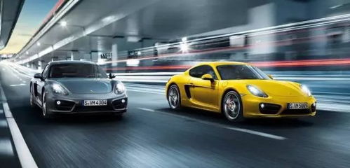 汽车共有多少种颜色(汽车颜色的多样性，探索颜色的无限可能)