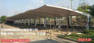 汽车棚尺寸是多少(汽车棚尺寸是多少—探究现代停车设施的标准尺寸)