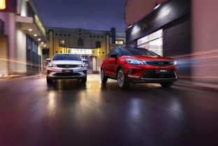 汽车终端地址多少正常(汽车终端地址的正常范围及解析)