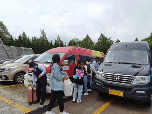 丽江有多少辆汽车(丽江的汽车数量及其影响)