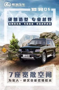 长丰猎豹汽车油耗多少(长丰猎豹汽车油耗解析)