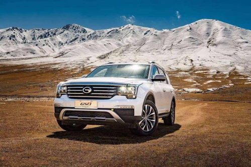 汽车2656是多少排量(汽车2656是多少排量，解读汽车排量与性能的关系)