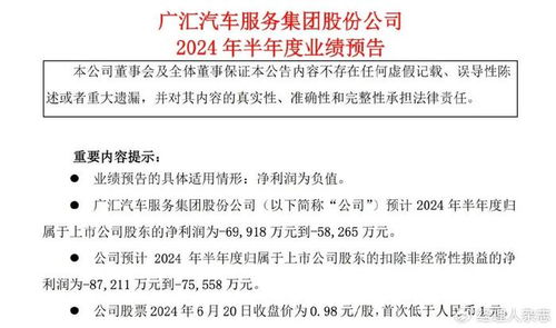 广汇汽车多少资产(广汇汽车的资产规模及其影响)