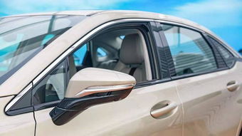 汽车首付多少定制推荐(汽车首付多少定制推荐，深度解析与个性化建议)