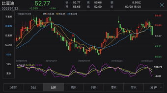 比亚迪汽车股票是多少(比亚迪汽车股票是多少？深度解析其股价背后的因素)