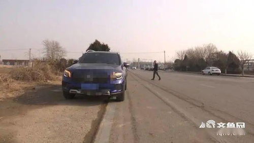 潍坊汽车落地价多少(潍坊汽车落地价多少，深度解析与市场调研)