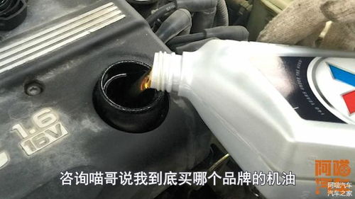 汽车机油不要低于多少(汽车机油不要低于多少—机油的重要性与合理油位维护)