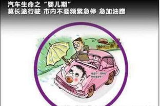 汽车相撞至死赔偿多少(汽车相撞至死赔偿多少，深度解析与应对建议)