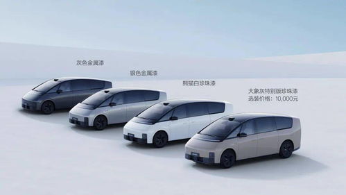理想汽车 韩国售价多少(理想汽车在韩国市场的售价分析)