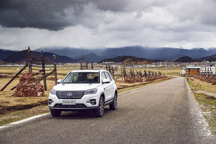 汽车多少价格合适自己(汽车购买决策，如何确定适合自己的合适价格)