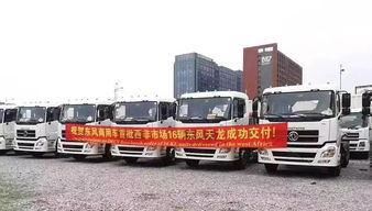 成功汽车载重多少(成功汽车载重能力深度解析)